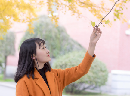 菲律宾签证号码在哪里 旅游签号码查询方法